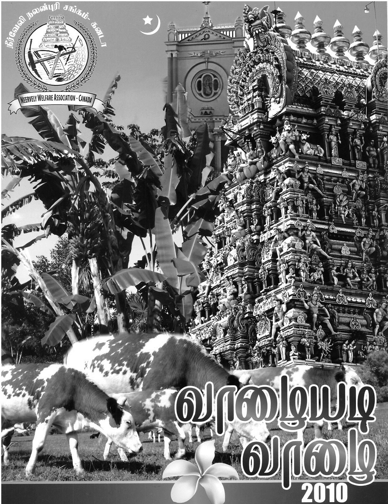 Vaalaiyadi Vaalai 2010